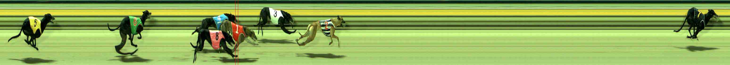Photo finish for Sale Race 3
