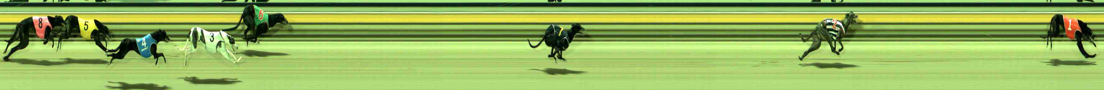 Photo finish for Sale Race 4