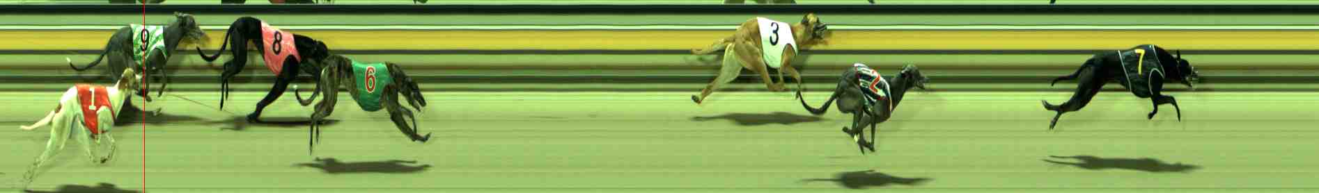 Photo finish for Sale Race 5