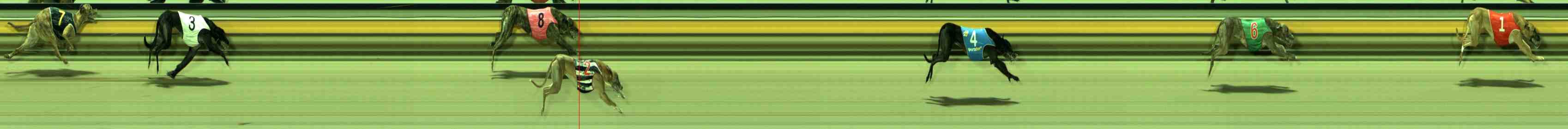 Photo finish for Sale Race 8