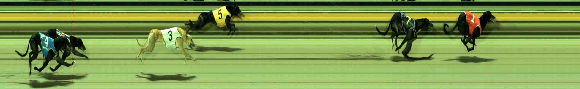 Photo finish for Sale Race 9