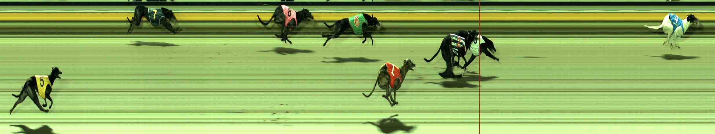 Photo finish for Sale Race 10