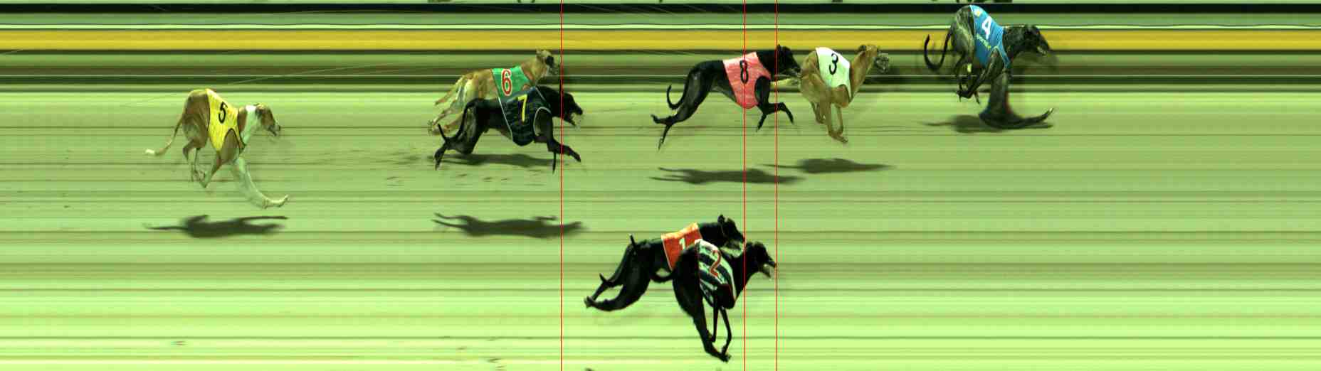 Photo finish for Sale Race 11