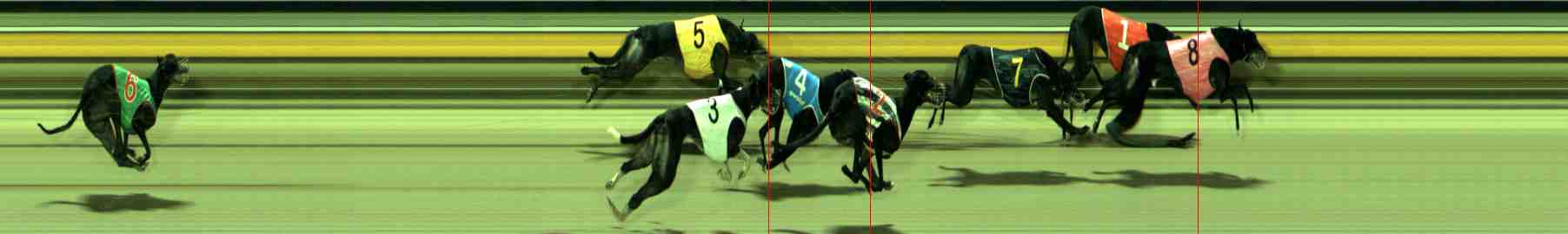 Photo finish for Sale Race 12