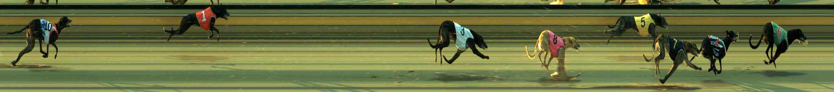 Photo finish for Sale Race 1