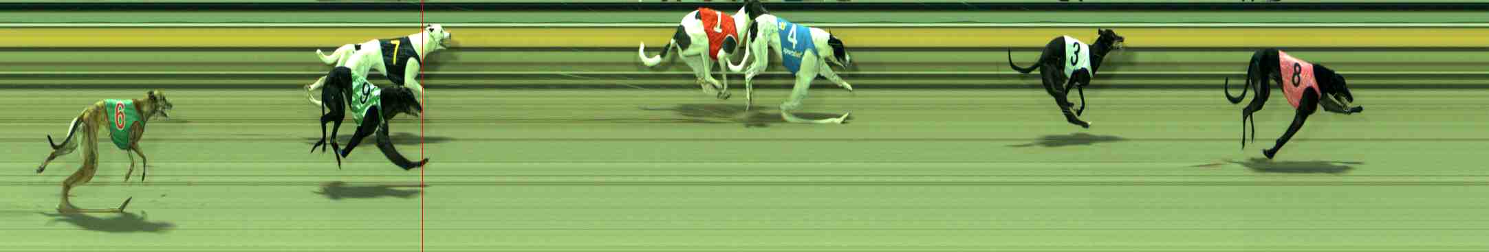 Photo finish for Sale Race 2