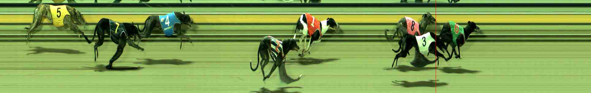 Photo finish for Sale Race 3