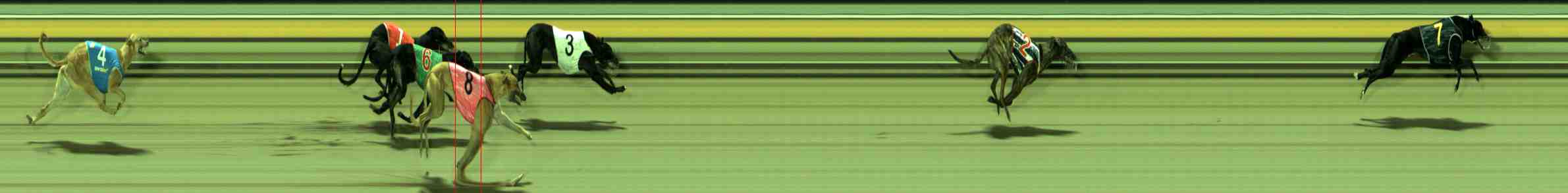 Photo finish for Sale Race 4