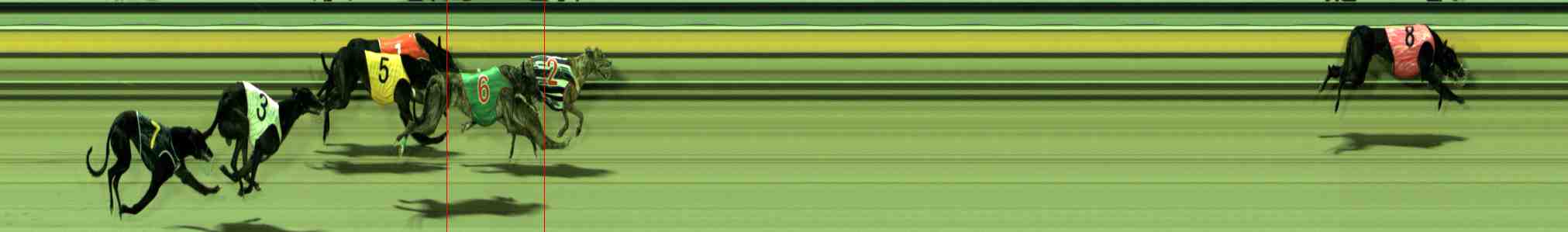 Photo finish for Sale Race 5