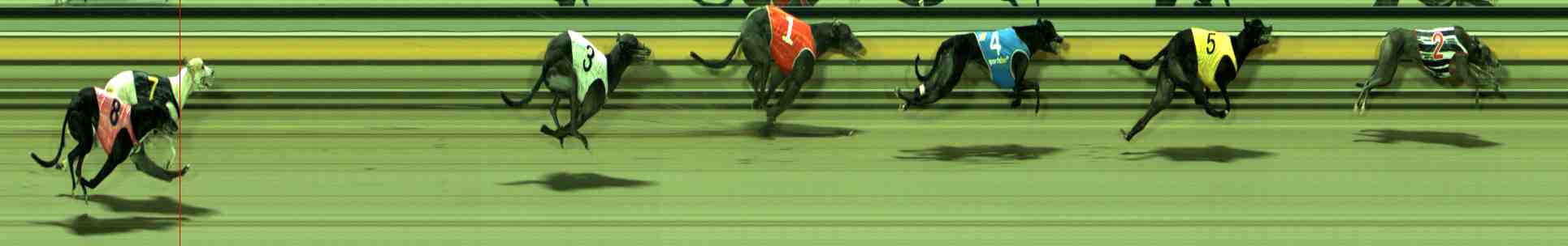 Photo finish for Sale Race 6