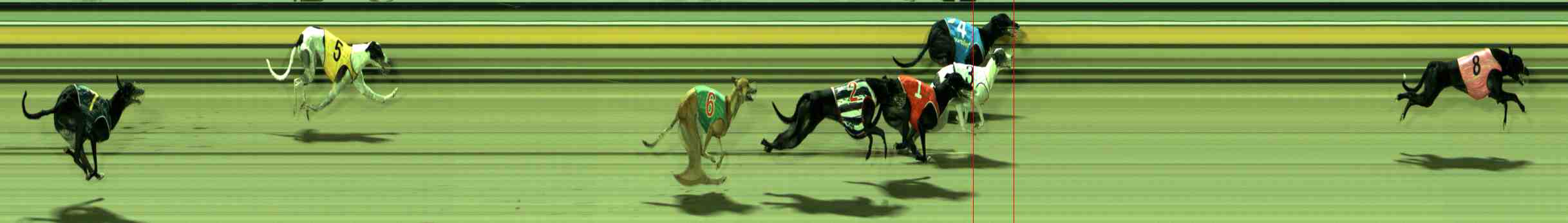 Photo finish for Sale Race 7
