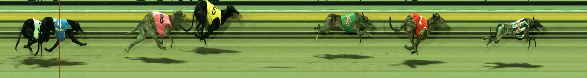 Photo finish for Sale Race 8