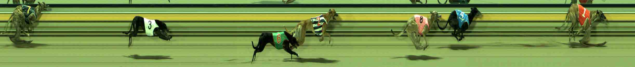 Photo finish for Sale Race 9