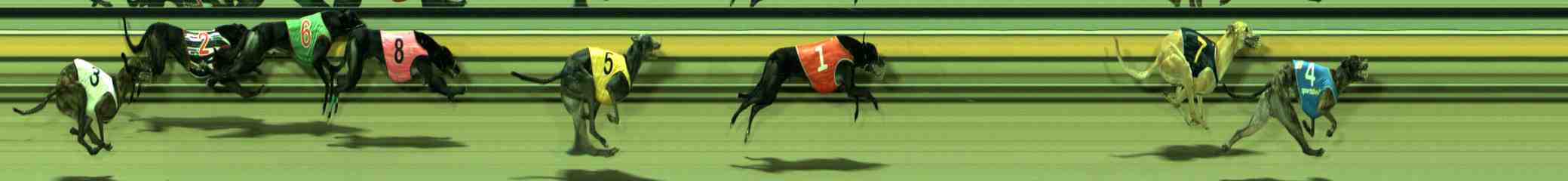 Photo finish for Sale Race 10