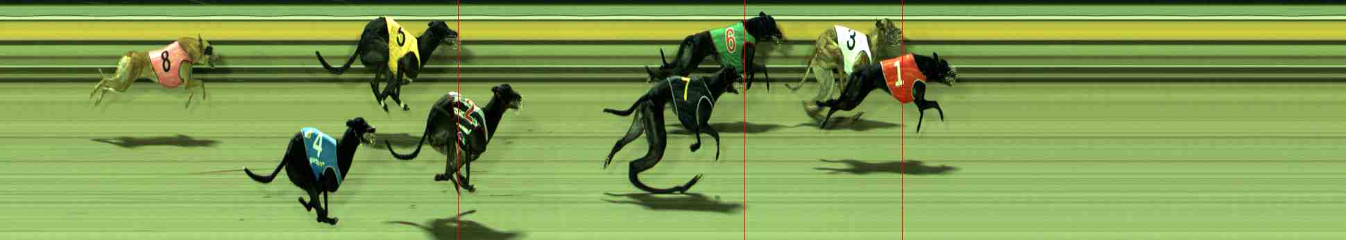 Photo finish for Sale Race 11