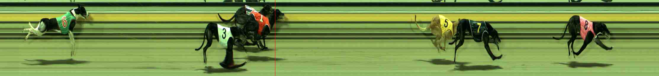 Photo finish for Sale Race 12