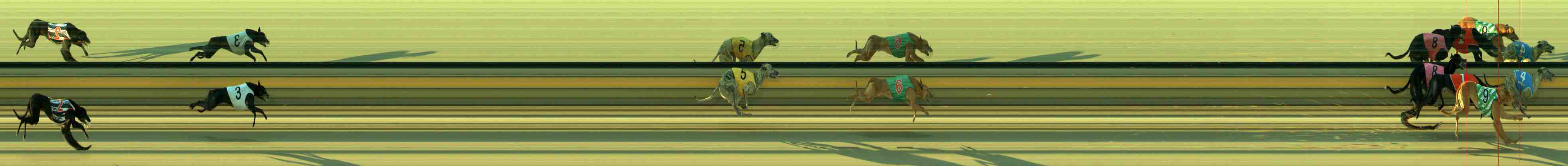 Photo finish for Sale Race 1