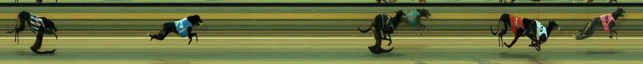 Photo finish for Sale Race 2