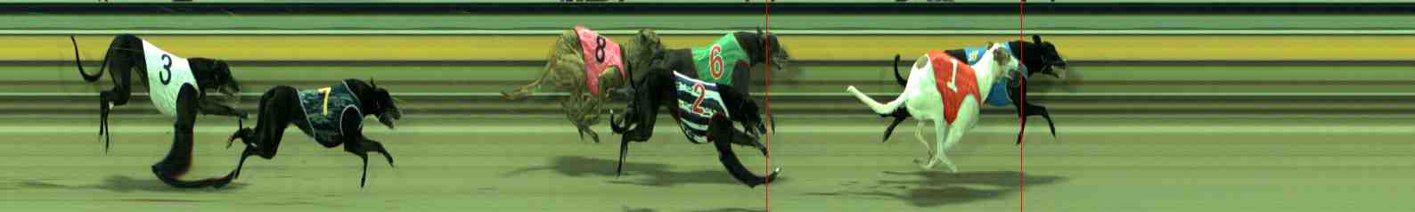Photo finish for Sale Race 3