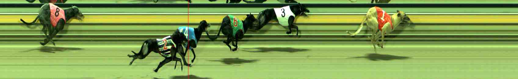 Photo finish for Sale Race 5