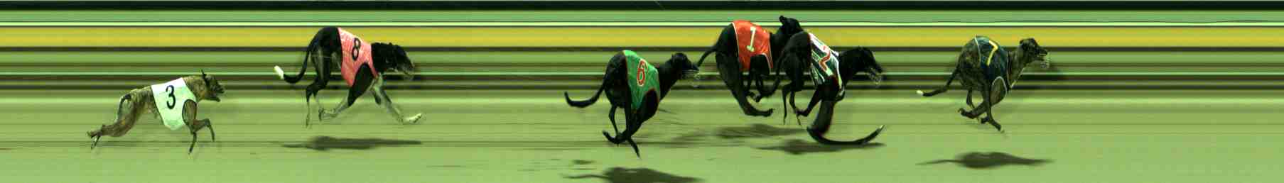 Photo finish for Sale Race 6