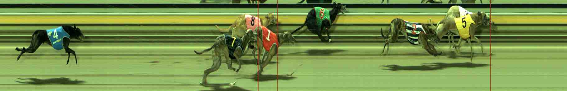 Photo finish for Sale Race 8
