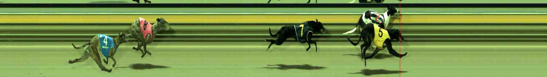 Photo finish for Sale Race 9