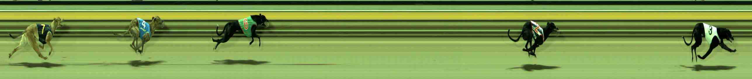 Photo finish for Sale Race 10