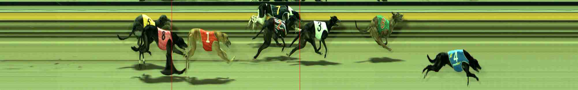 Photo finish for Sale Race 11