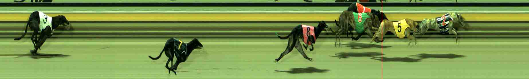 Photo finish for Sale Race 12