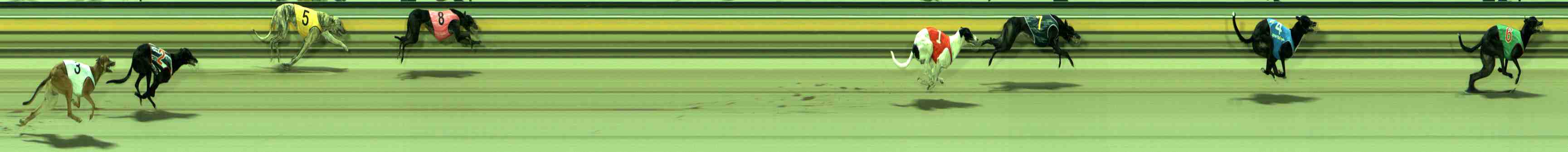 Photo finish for Sale Race 1