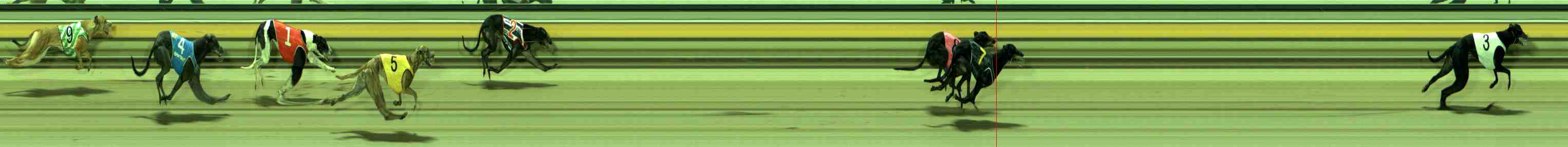Photo finish for Sale Race 2