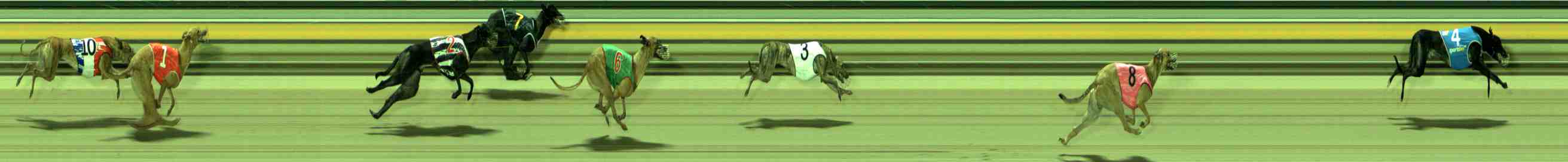 Photo finish for Sale Race 3