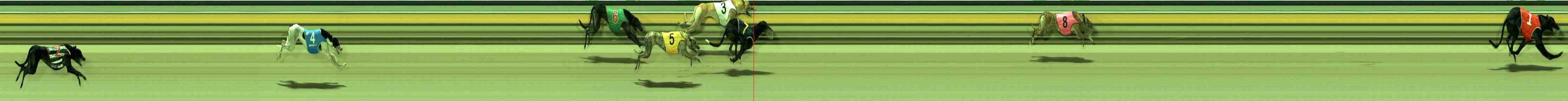 Photo finish for Sale Race 4