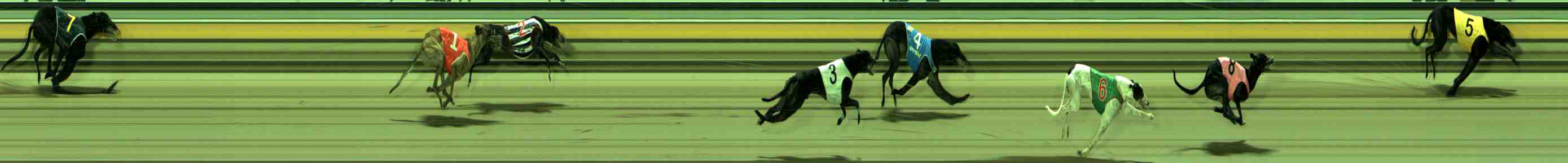 Photo finish for Sale Race 5