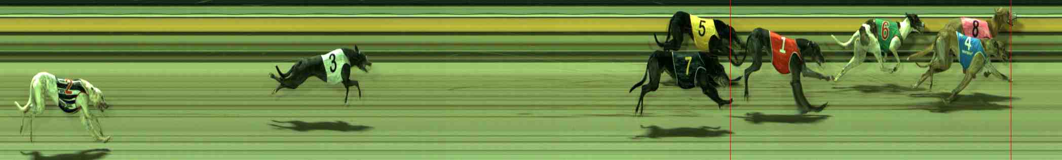 Photo finish for Sale Race 6