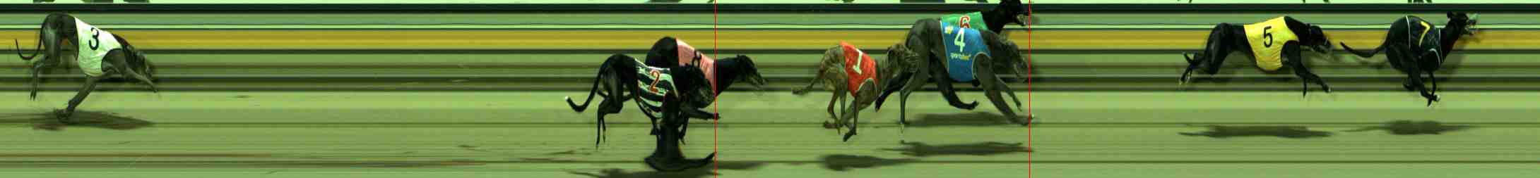 Photo finish for Sale Race 8