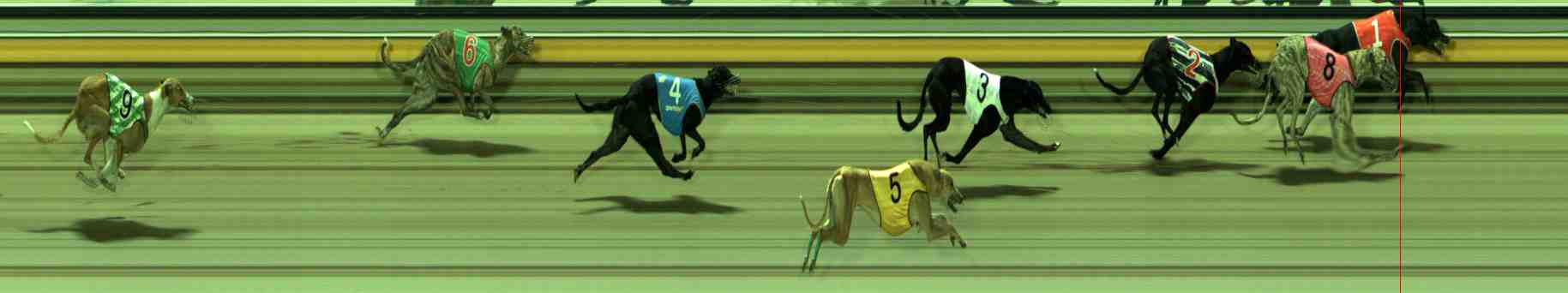 Photo finish for Sale Race 9
