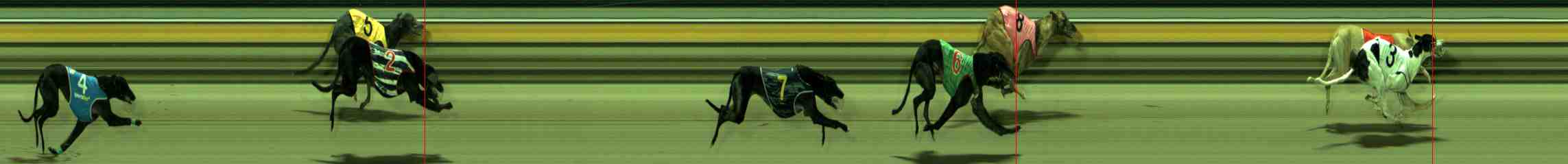 Photo finish for Sale Race 10