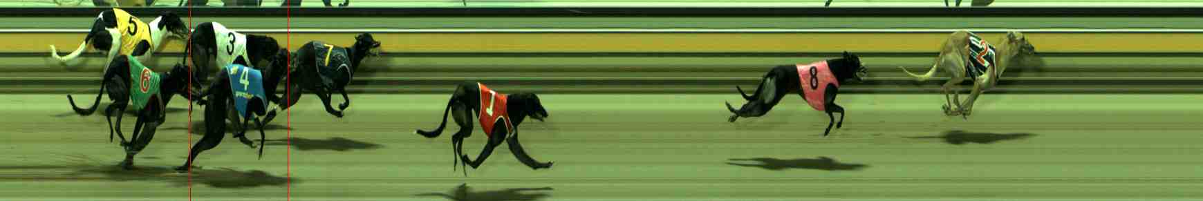 Photo finish for Sale Race 11