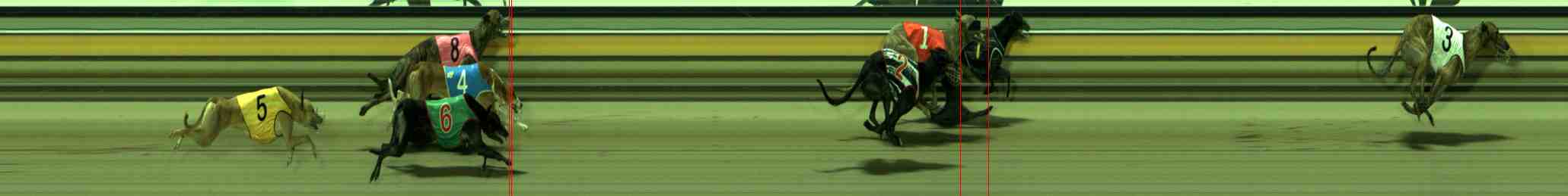 Photo finish for Sale Race 12
