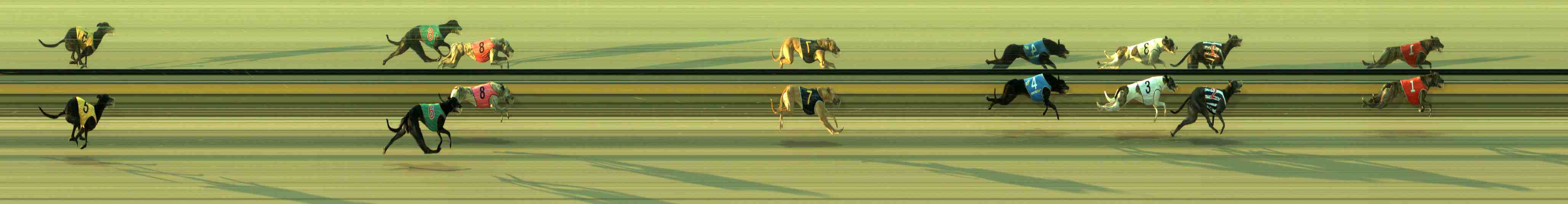 Photo finish for Sale Race 1