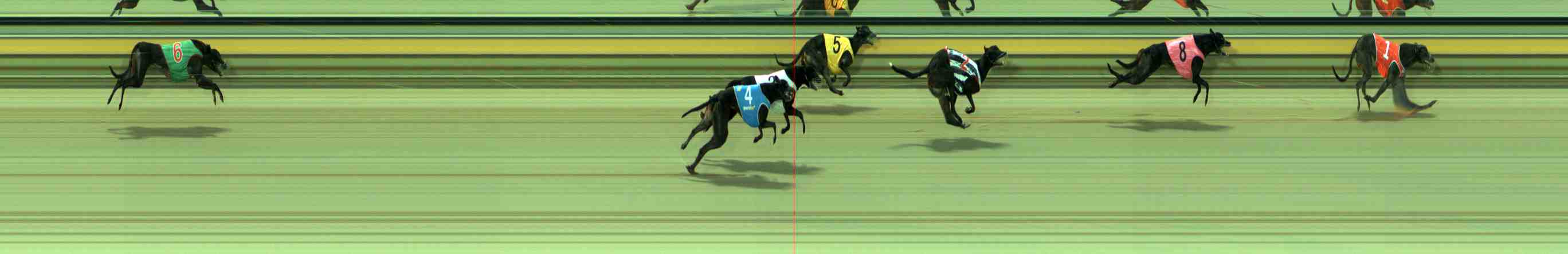 Photo finish for Sale Race 2