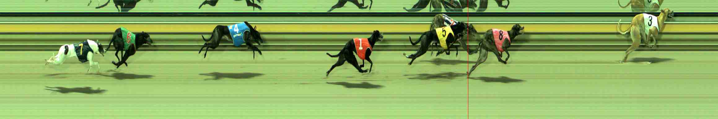 Photo finish for Sale Race 3