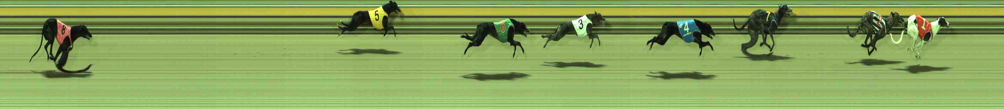 Photo finish for Sale Race 4