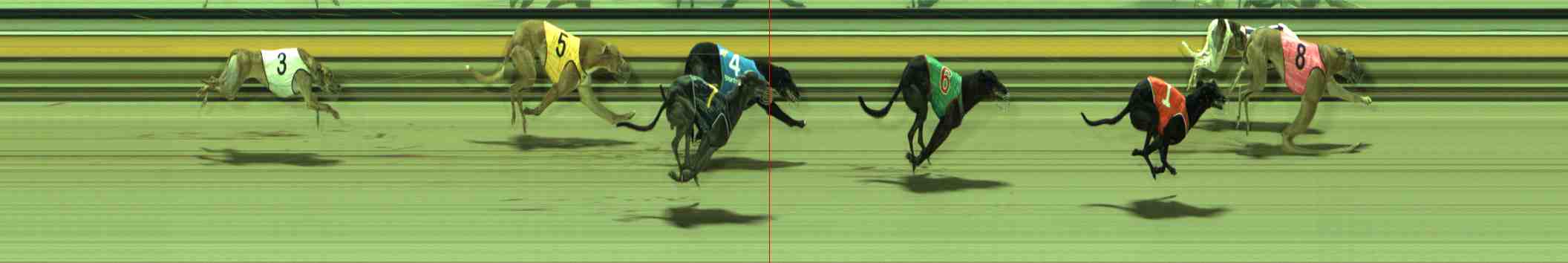 Photo finish for Sale Race 5