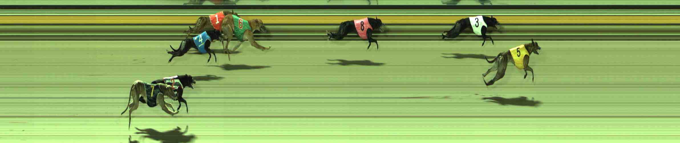 Photo finish for Sale Race 6