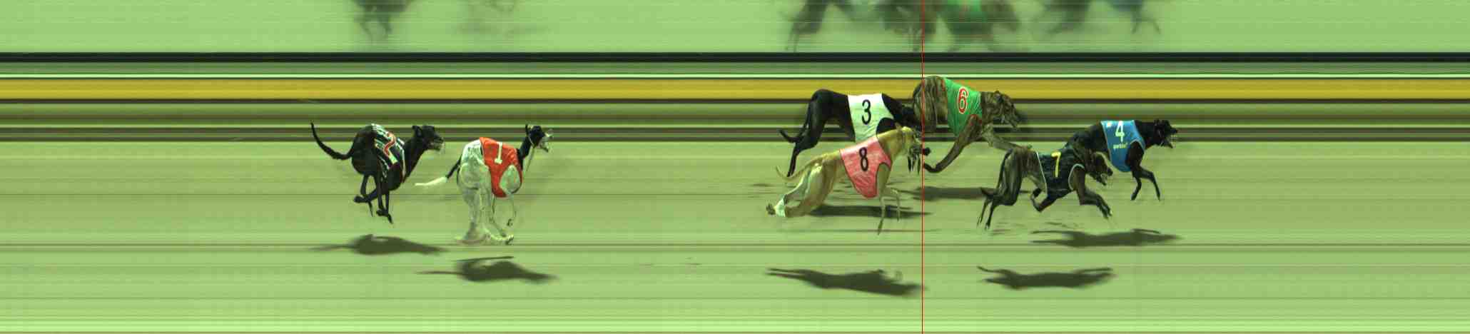 Photo finish for Sale Race 8