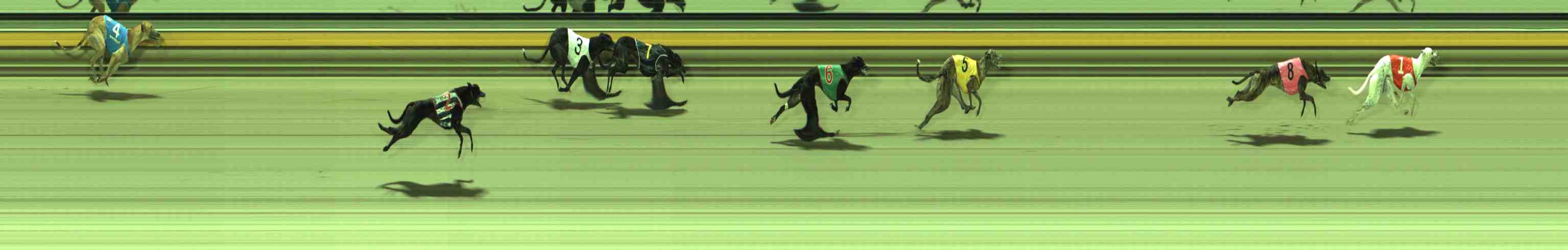 Photo finish for Sale Race 9