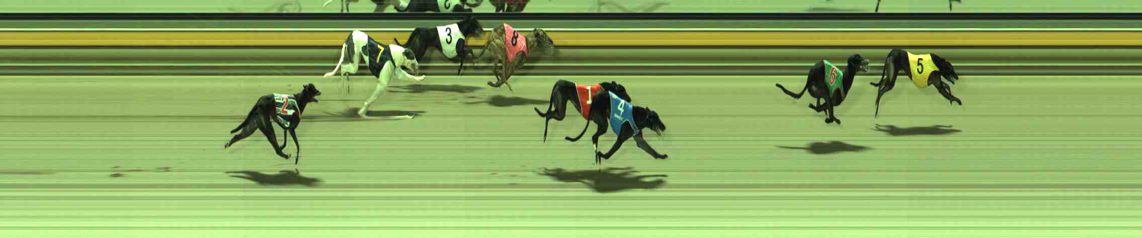 Photo finish for Sale Race 10